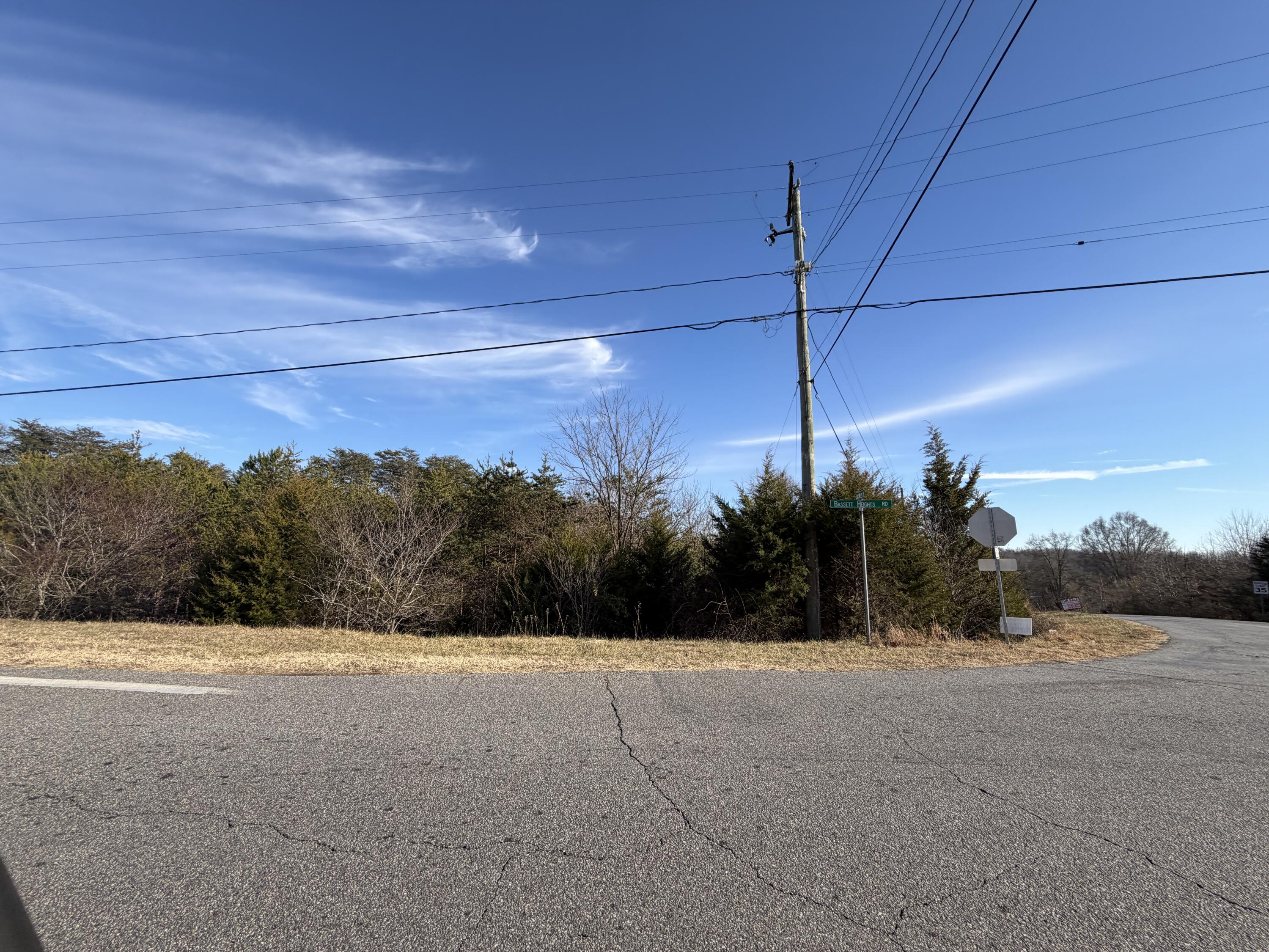 Lot 9 Pine Valley Road Bassett, VA 24055 - Photo 2 of 3 Lot 9