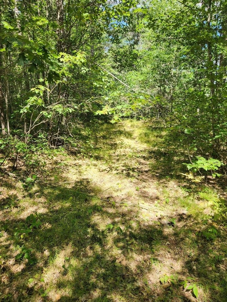 On Prairie Lake Road, Unit LOTS 58 Tomahawk, WI 54487 - Photo 20 of 30 Gallery Image 20