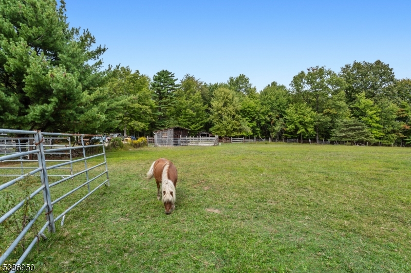 87 Glen Road Wantage, NJ 07461 - Photo 34 of 40 a view of a field with sitting area in back