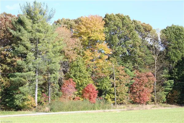 $46,900 | Tbd Old Quarry Road, State Road, NC 28676