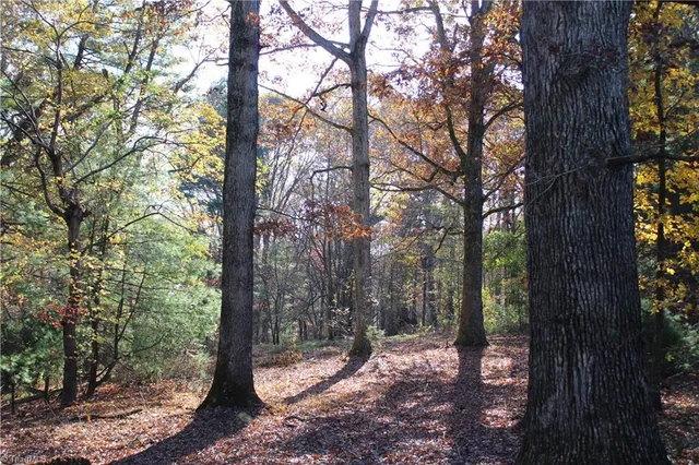 $46,900 | Tbd Old Quarry Road, State Road, NC 28676