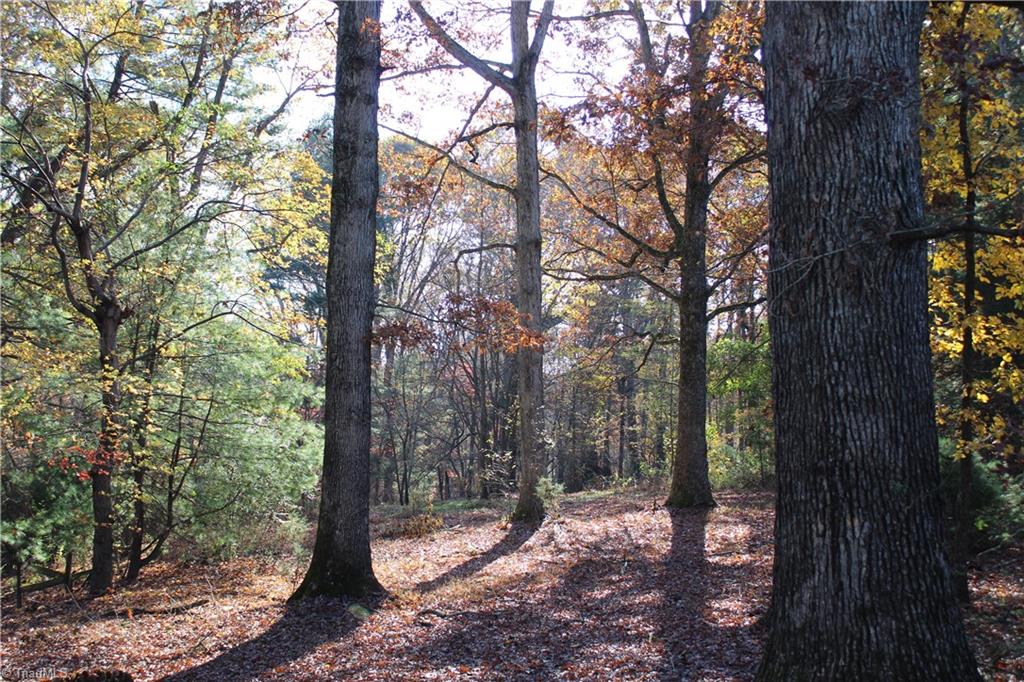 Tbd Old Quarry Road State Road, NC 28676 - Photo 2 of 2