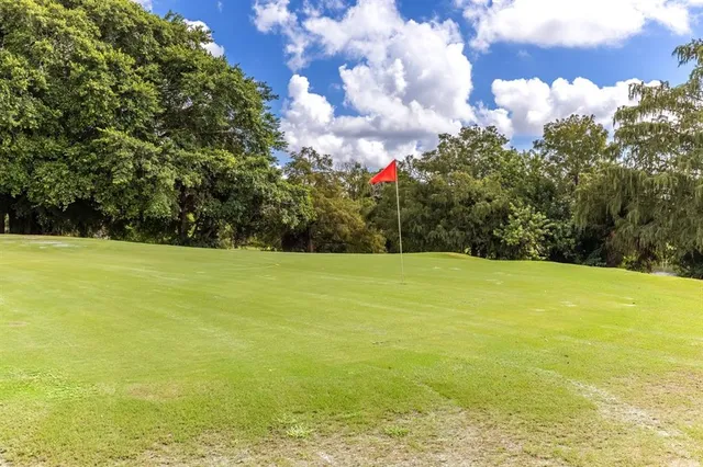 a view of a yard with a large tree