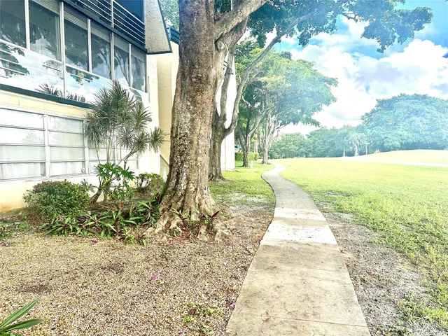 a view of a yard with plants and trees