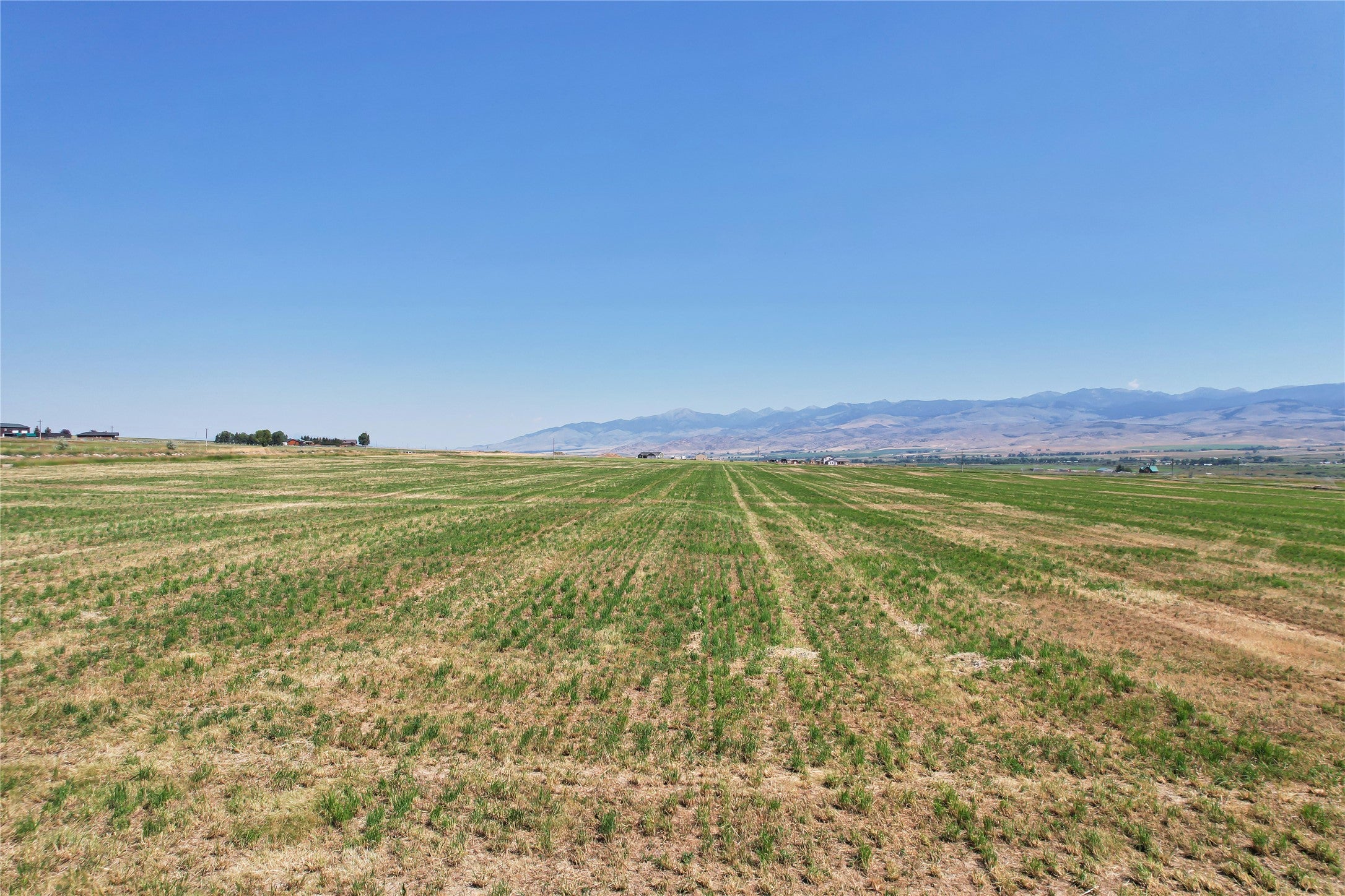Lot 1 A Spring Creek Road Alder, MT 59710 - Photo 11 of 23 Gallery Image 11