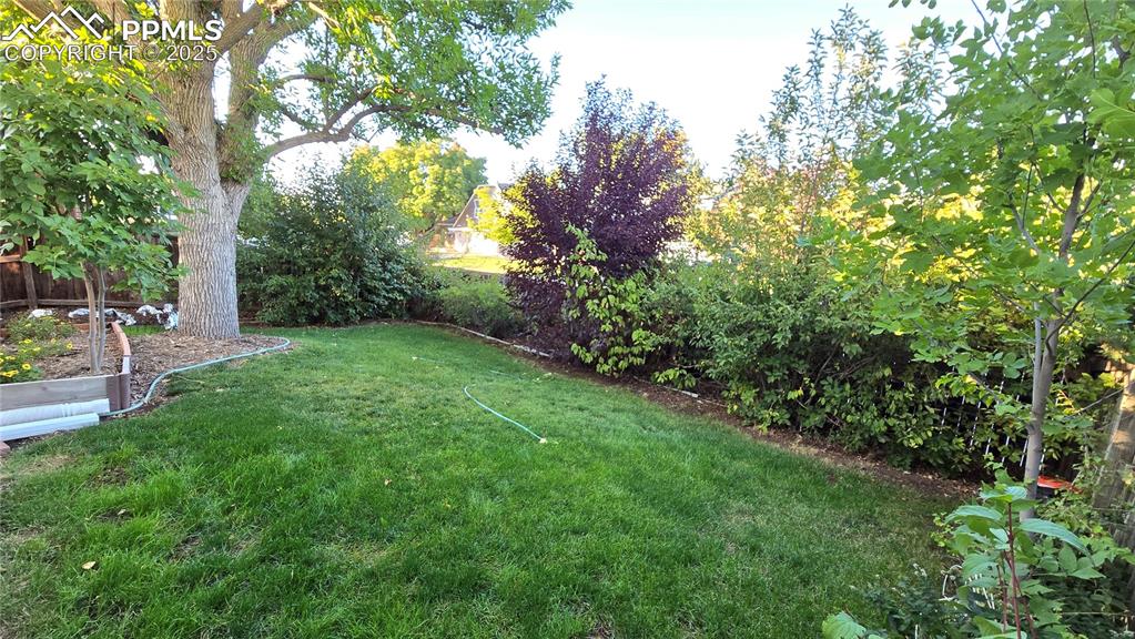 7231 South Webster Street Littleton, CO 80128 - Photo 41 of 44 a view of a garden with a tree