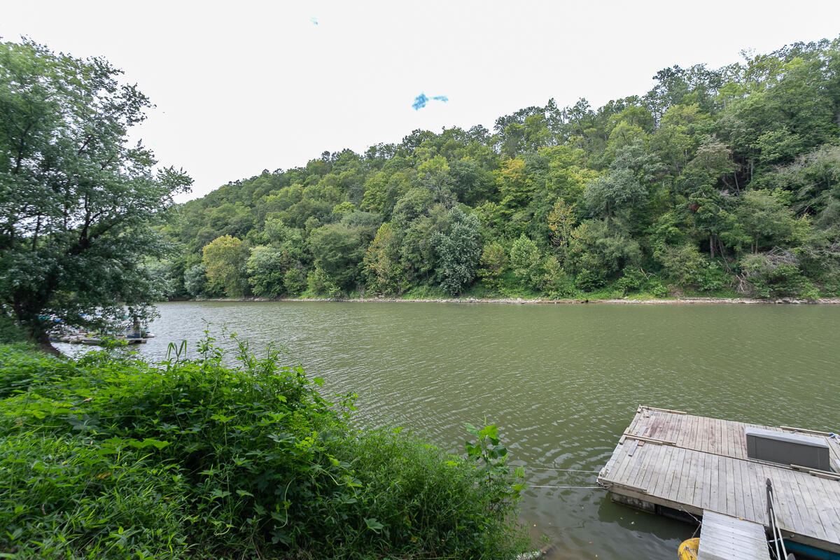 415 Buck Run Road Versailles, KY 40383 - Photo 56 of 62 415BuckRunExterior-10