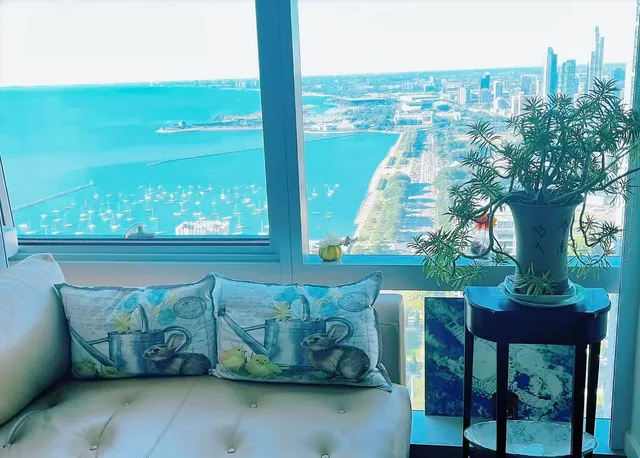 a view of a floor to ceiling window and wooden floor