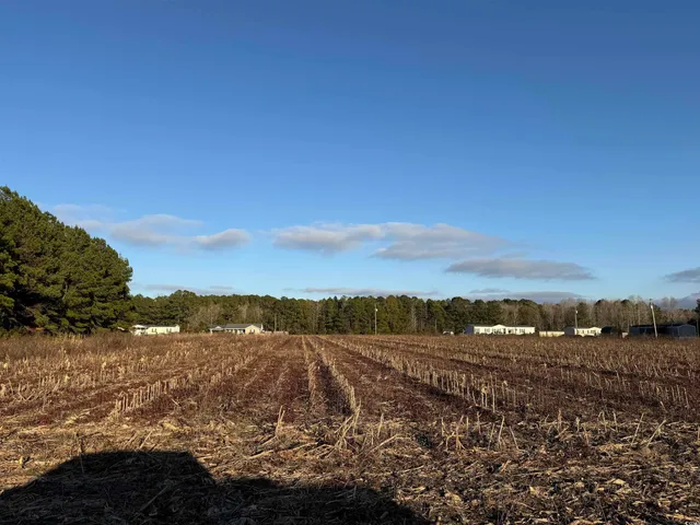 $25,000 | Tbd Tbd Thomas Drive, Kingstree, SC 29556
