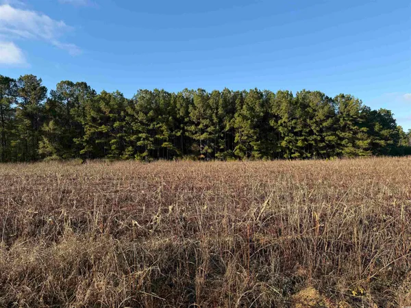 $21,000 | Tbd Tbd Thomas Drive, Kingstree, SC 29556