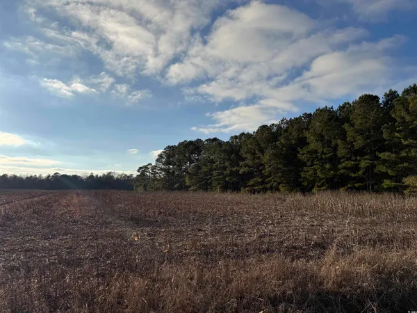 $21,000 | Tbd Tbd Thomas Drive, Kingstree, SC 29556