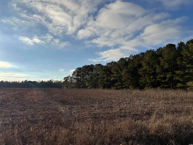 $22,000 | Tbd Tbd Thomas Drive, Kingstree, SC 29556