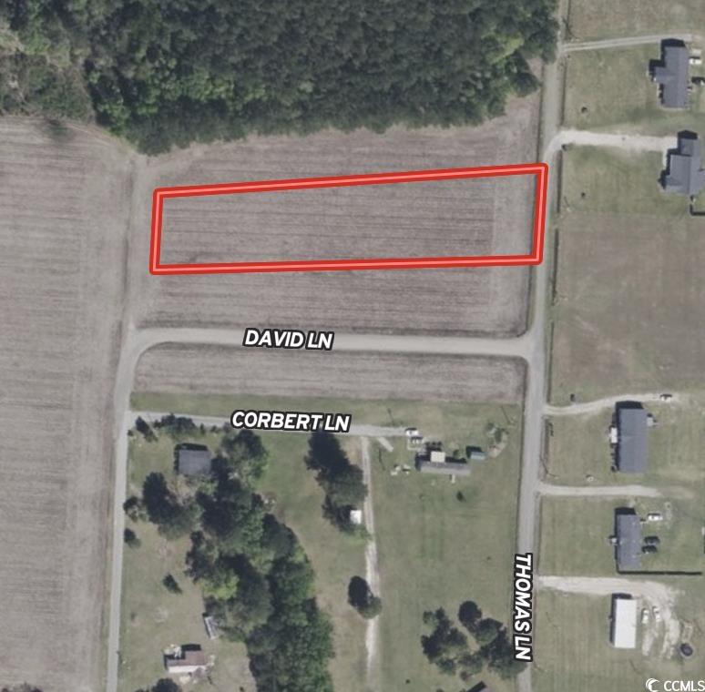 Tbd Tbd Thomas Drive Kingstree, SC 29556 - Photo 4 of 4