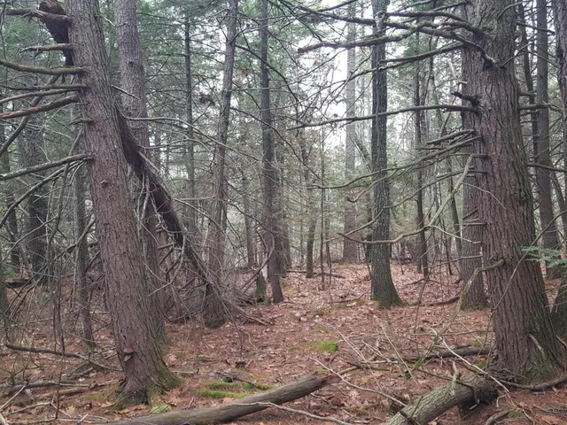 $149,900 | 53 Johnson Road, Windham, ME 04062