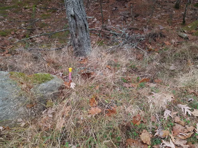 $149,900 | 53 Johnson Road, Windham, ME 04062