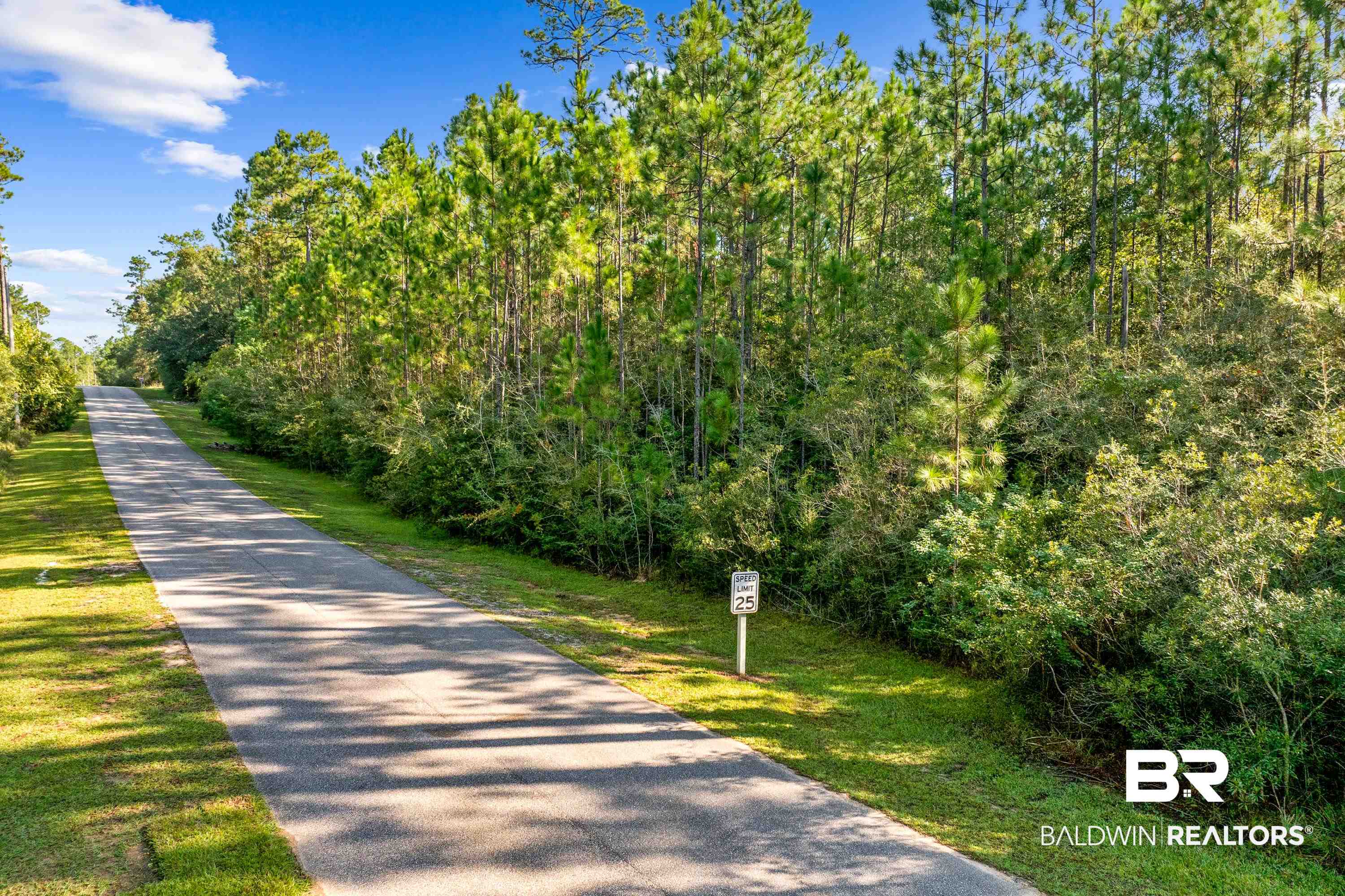 Lot 16 Steelwood Ridge Road Loxley, AL 36551 - Photo 8 of 19