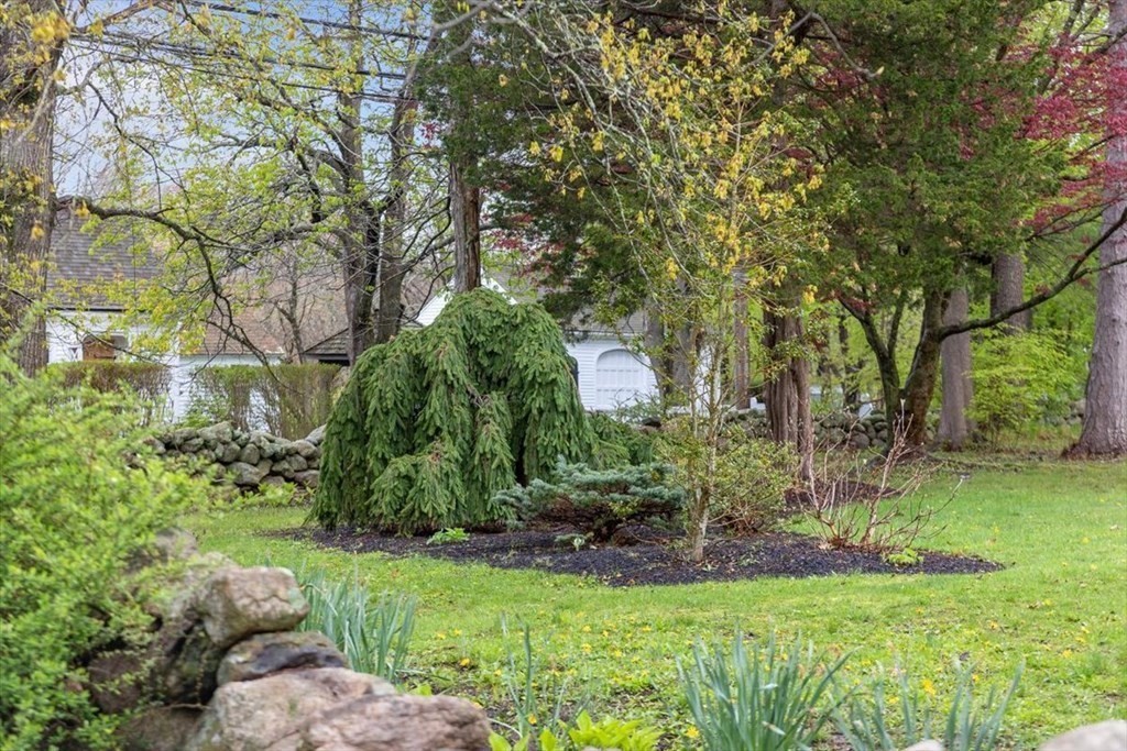 604 First Parish Road Scituate, MA 02066 - Photo 14 of 39 a view of backyard with green space