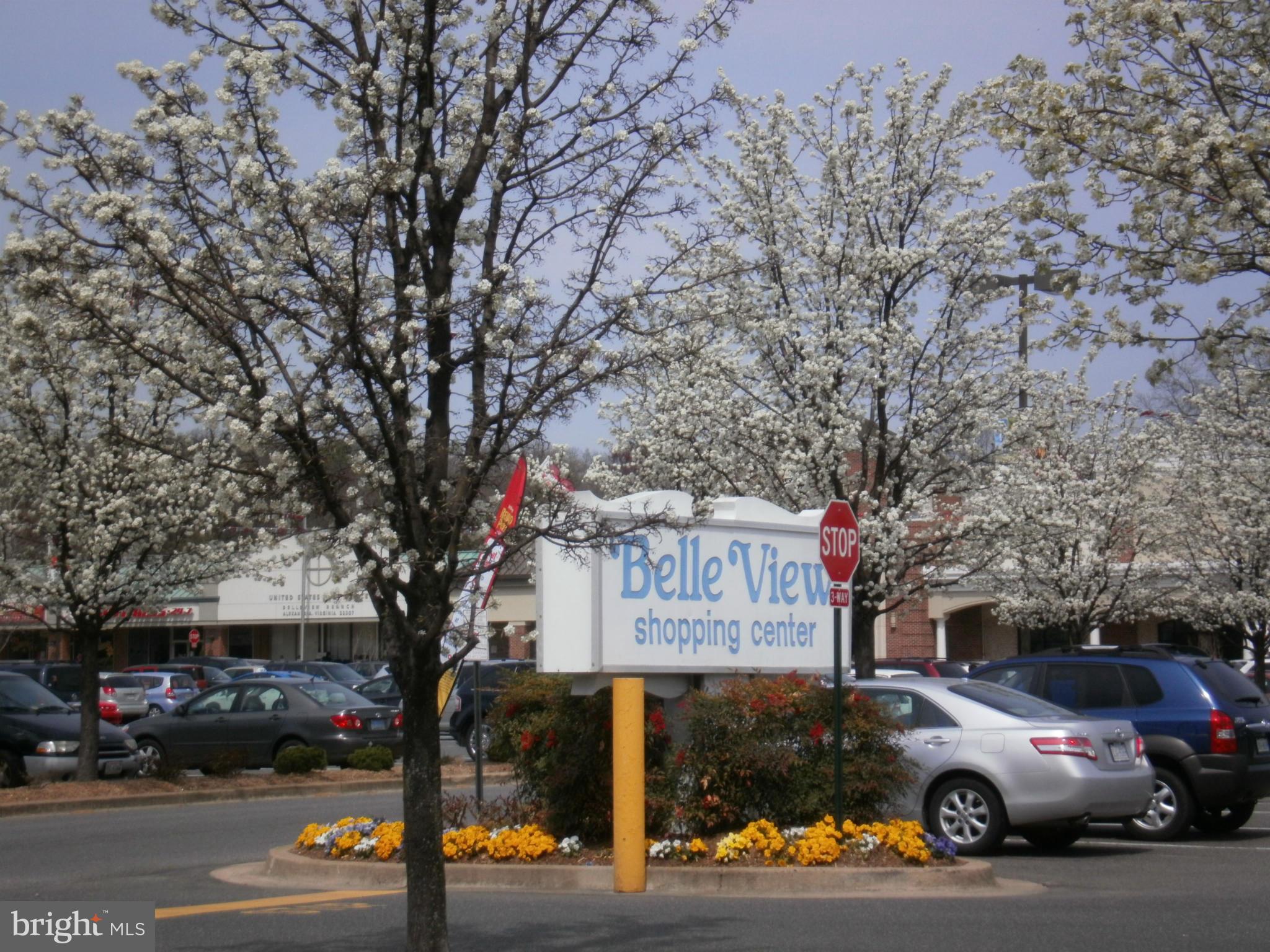 6626 Boulevard View, Unit B2 Alexandria, VA 22307 - Photo 21 of 29 a view of a cars park on the roadside