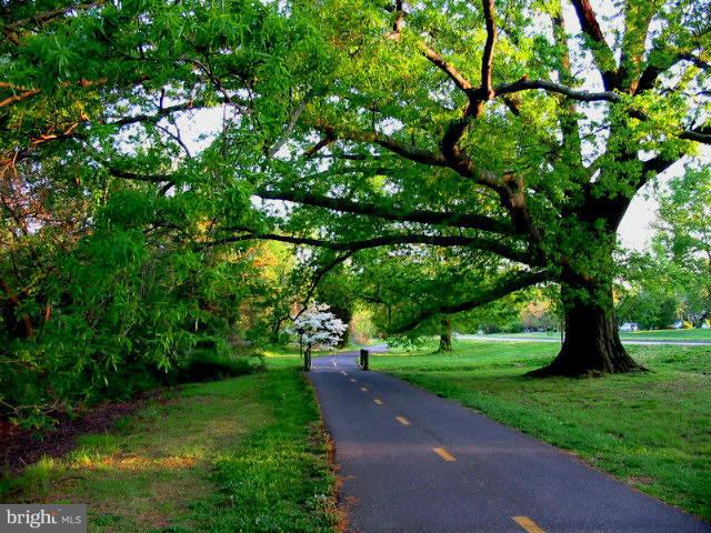 6626 Boulevard View, Unit B2 Alexandria, VA 22307 - Photo 22 of 29 a view of a park with large trees