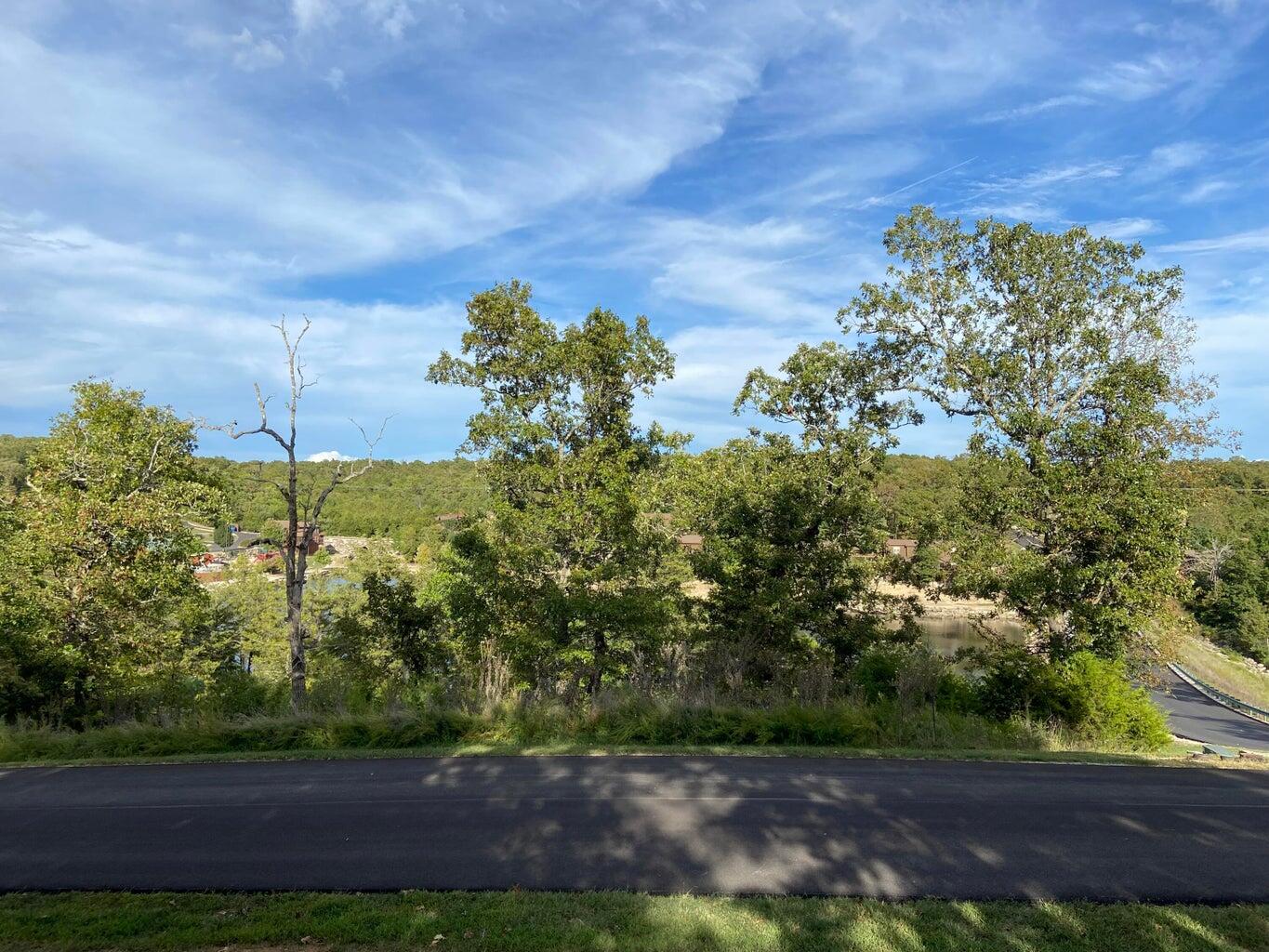 Lot 244 Blue Lake Trail Branson Trail Reeds Spring, MO 65737 - Photo 5 of 6 Lot 244