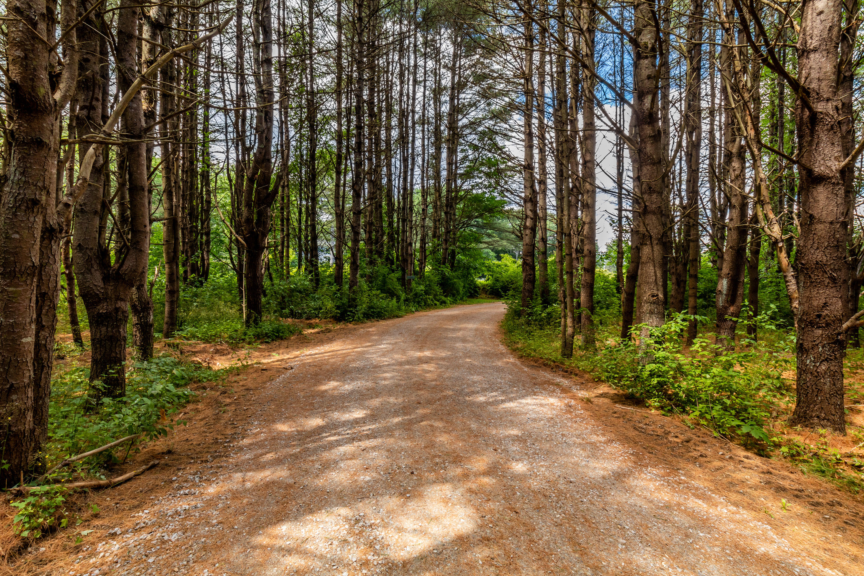 294 Arundel Road Kennebunkport, ME 04046 - Photo 61 of 68 20220713ms-81078