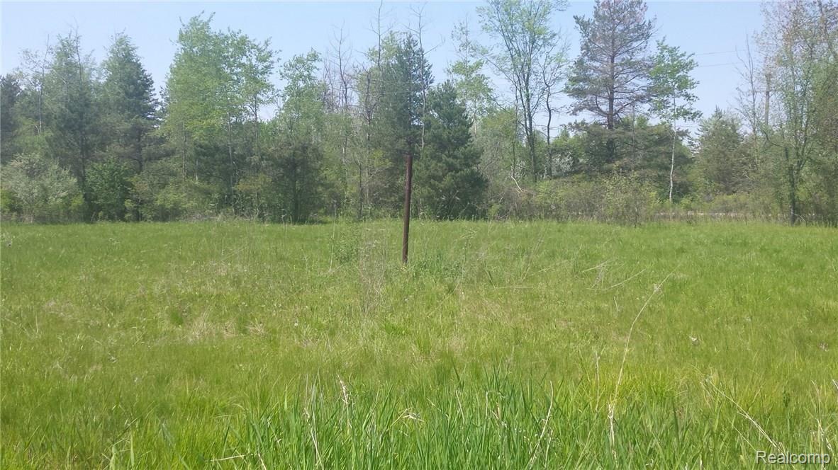 11445 Norman Road Yale, MI 48097 - Photo 23 of 32 This is a view of the field.