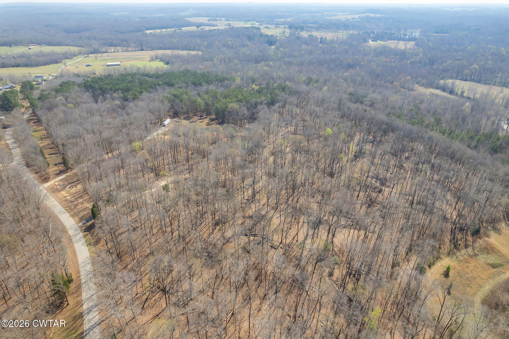 320 Peddy Vestal Loop Henderson, TN 38340 - Photo 11 of 26 a view of a dry yard