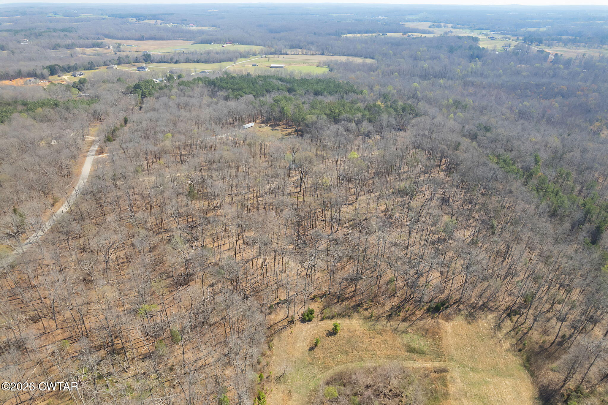320 Peddy Vestal Loop Henderson, TN 38340 - Photo 12 of 26 a view of a dry yard