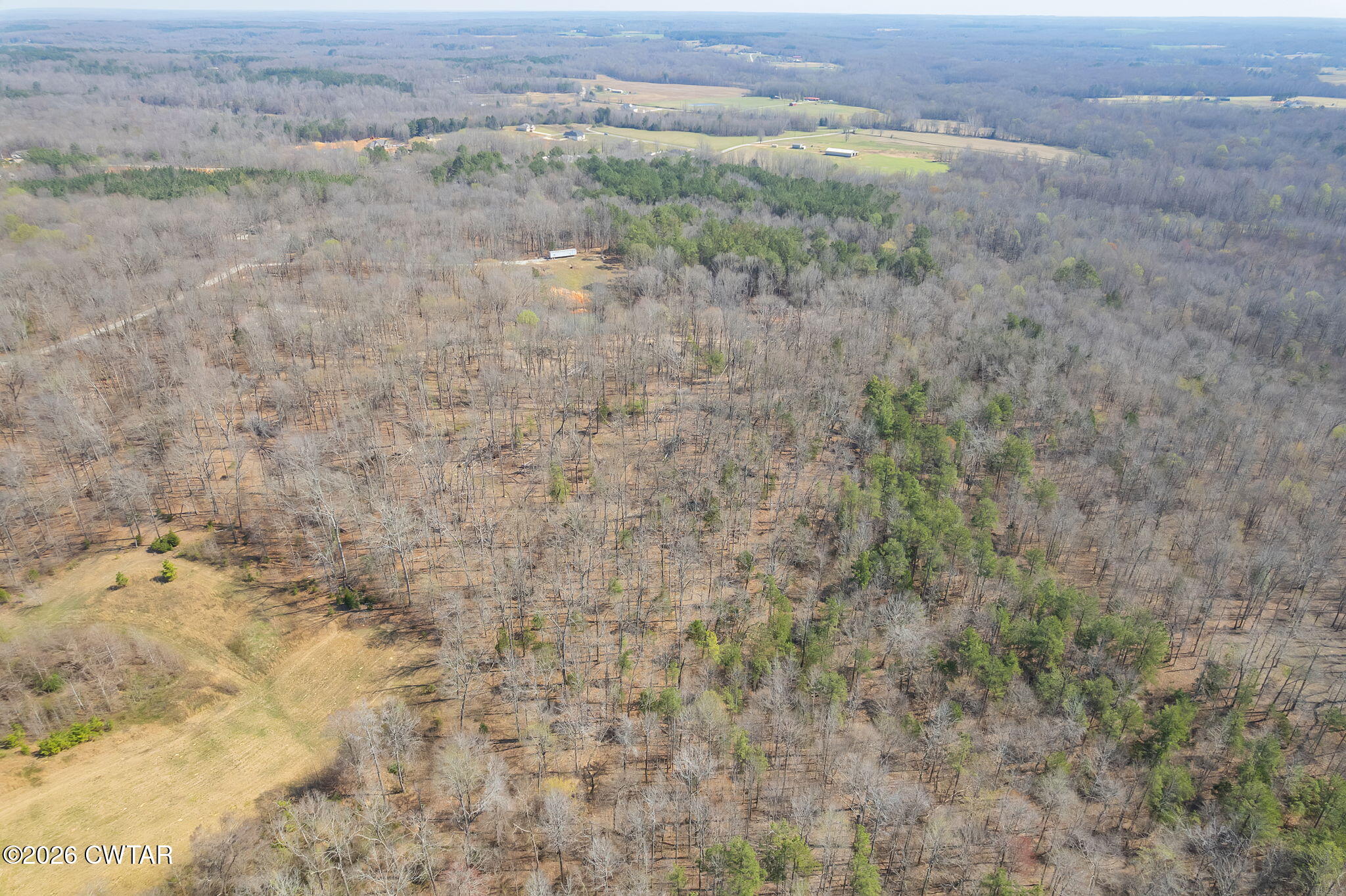 320 Peddy Vestal Loop Henderson, TN 38340 - Photo 13 of 26 a view of a dry yard