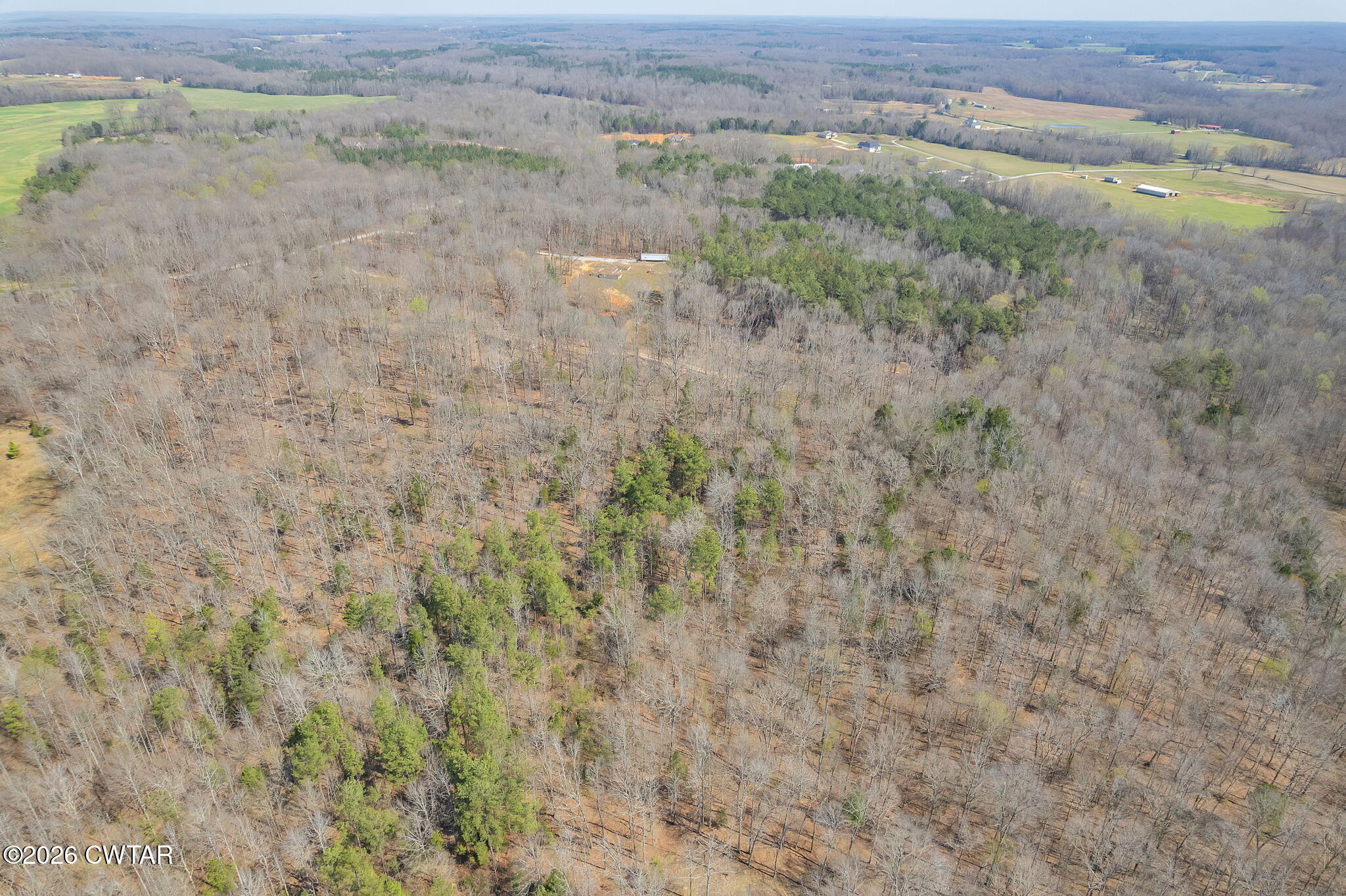 320 Peddy Vestal Loop Henderson, TN 38340 - Photo 14 of 26 a view of a dry yard