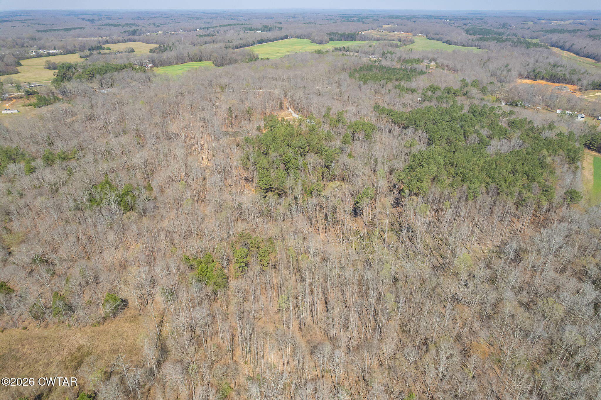 320 Peddy Vestal Loop Henderson, TN 38340 - Photo 16 of 26