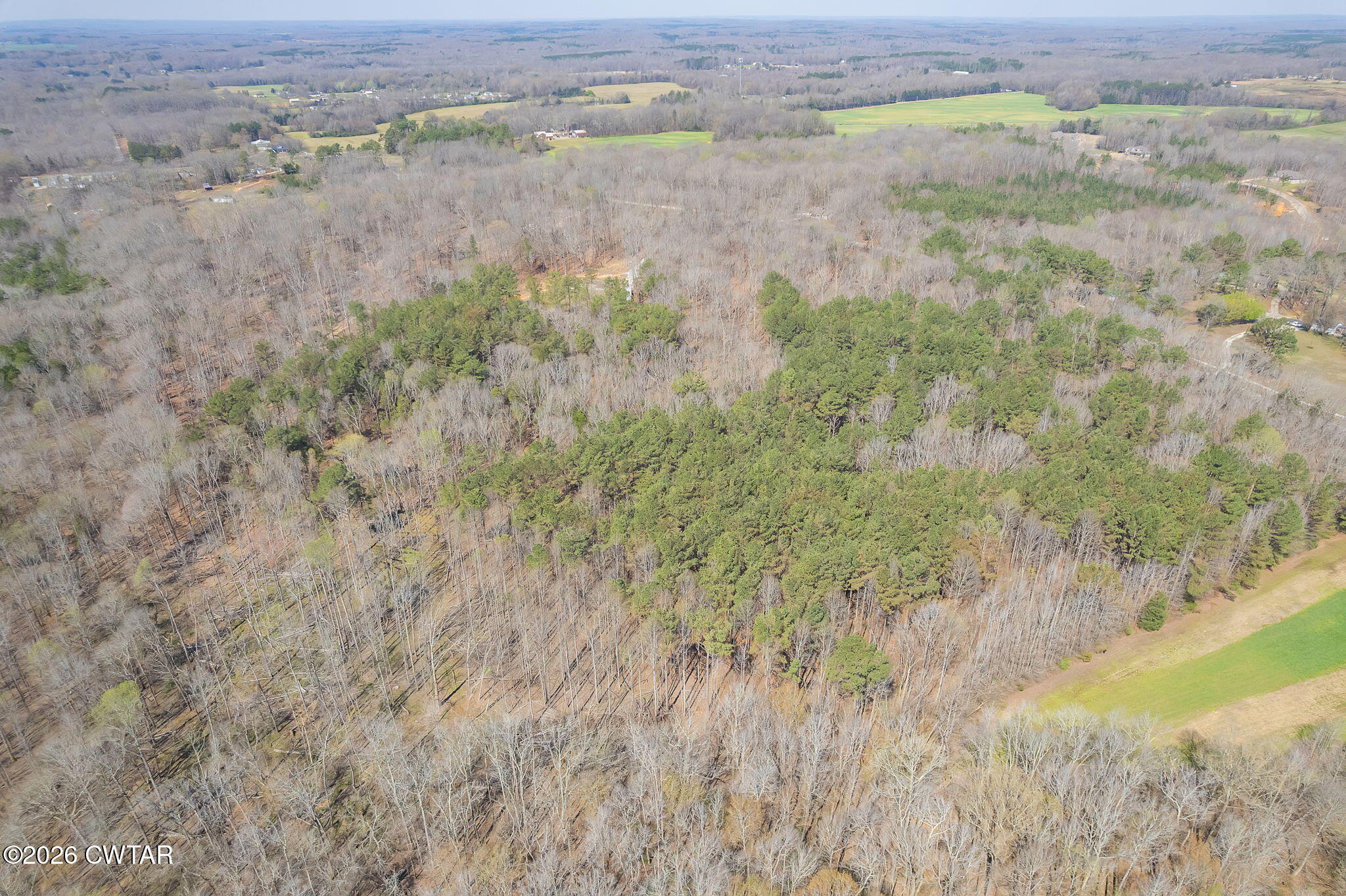 320 Peddy Vestal Loop Henderson, TN 38340 - Photo 19 of 26 a view of a yard with a dry yard