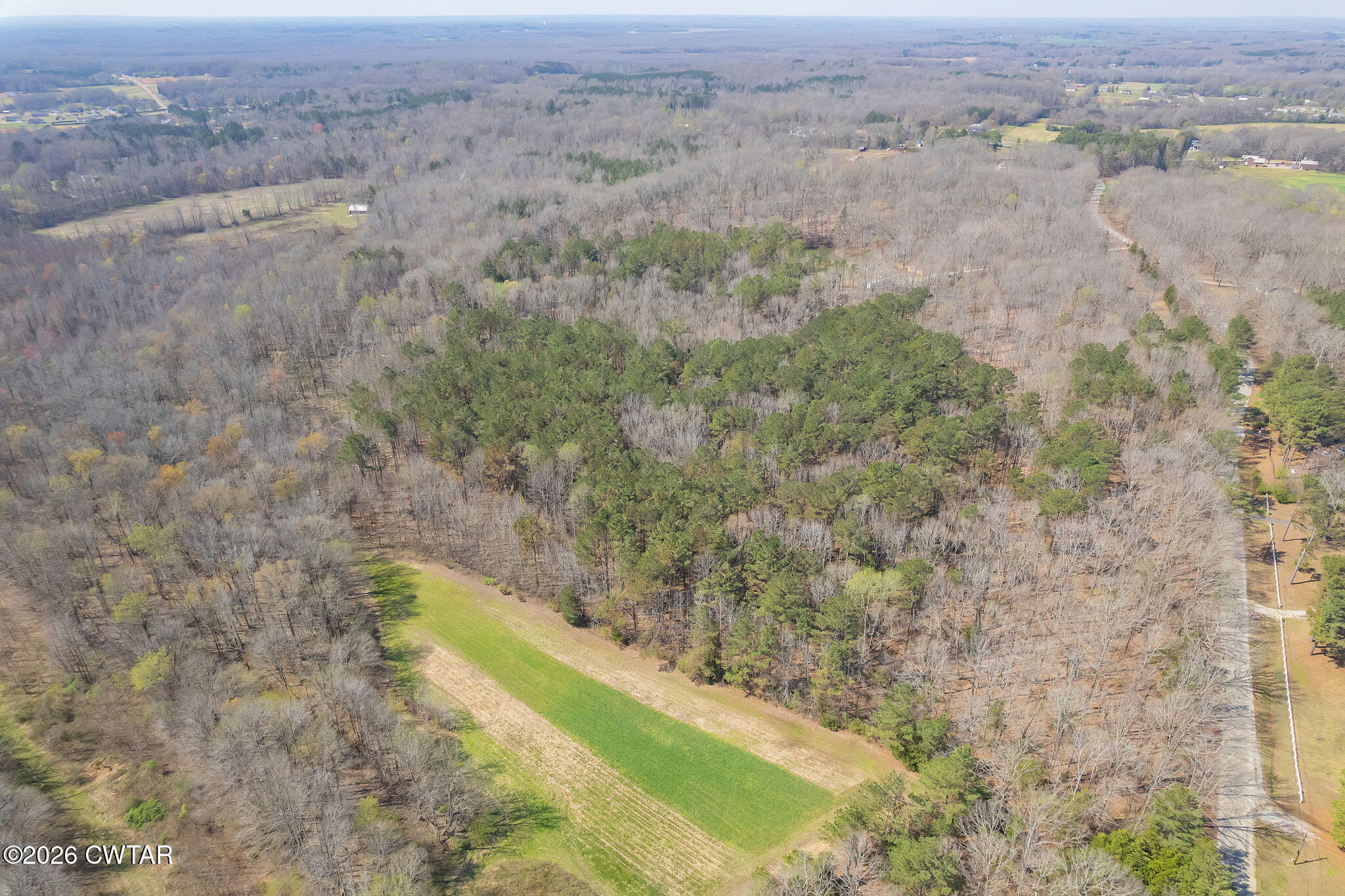 320 Peddy Vestal Loop Henderson, TN 38340 - Photo 20 of 26 a view of a dry yard with green space