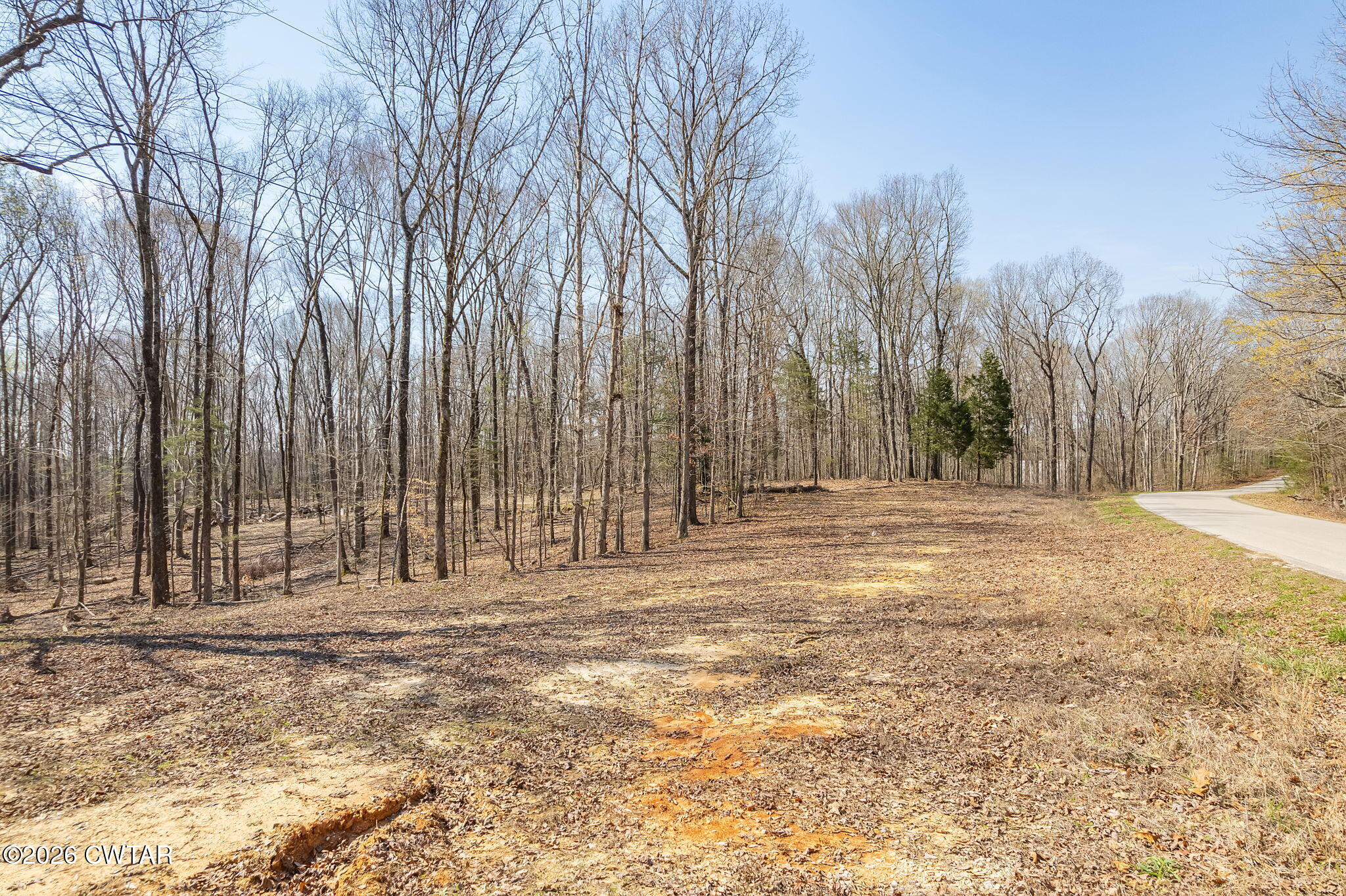 320 Peddy Vestal Loop Henderson, TN 38340 - Photo 2 of 26 a view of a backyard of the house