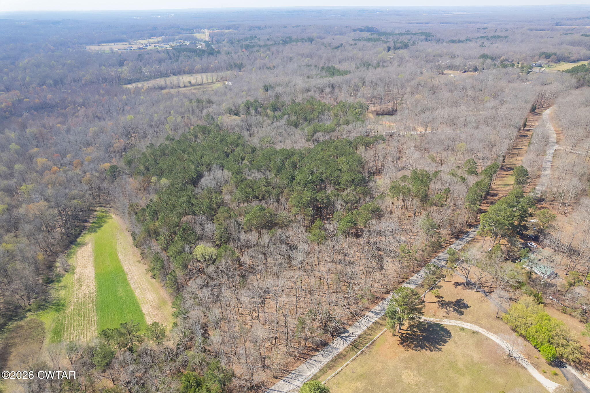 320 Peddy Vestal Loop Henderson, TN 38340 - Photo 21 of 26 a view of a yard with a dry yard