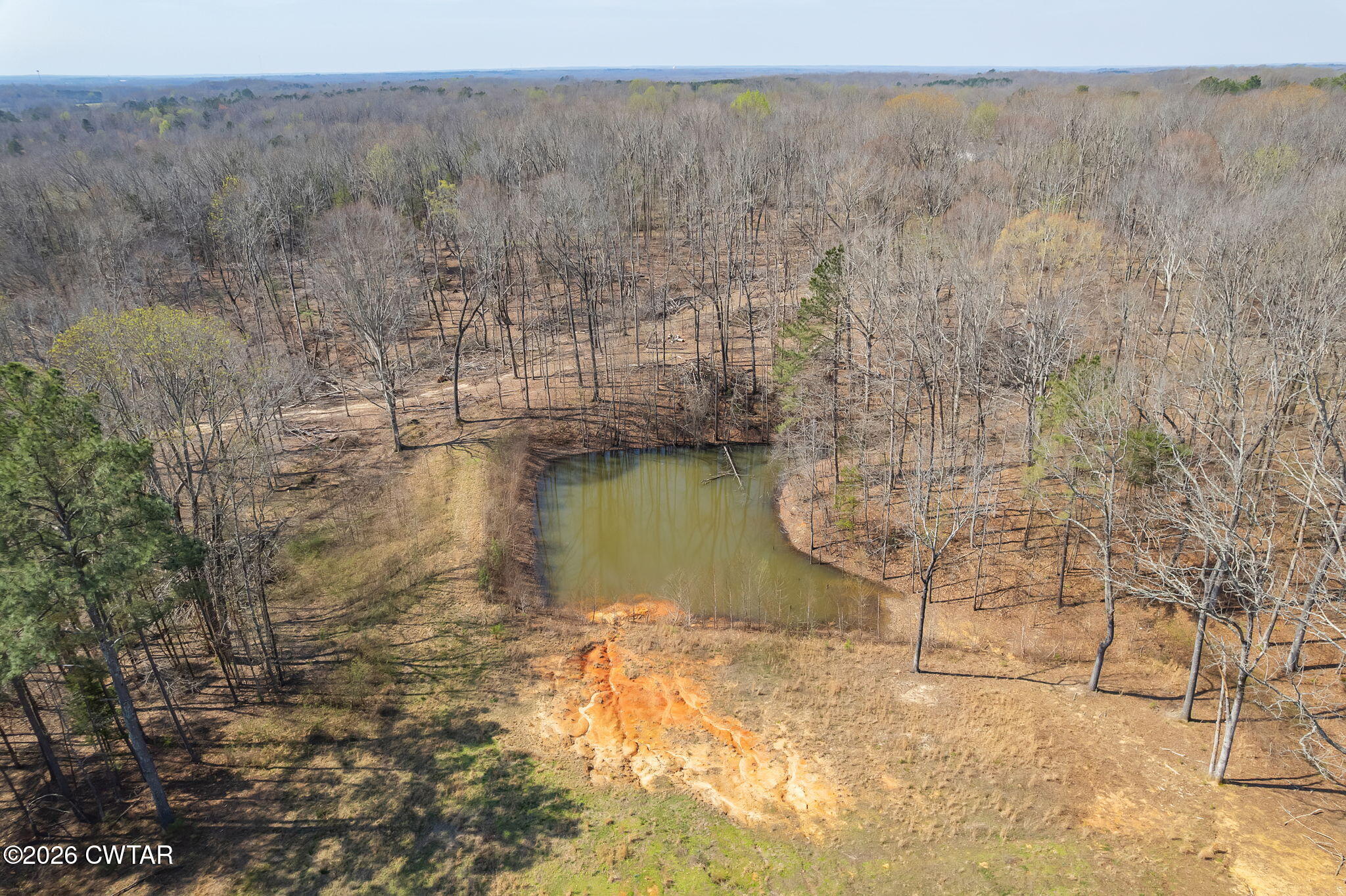 320 Peddy Vestal Loop Henderson, TN 38340 - Photo 6 of 26 a view of lake