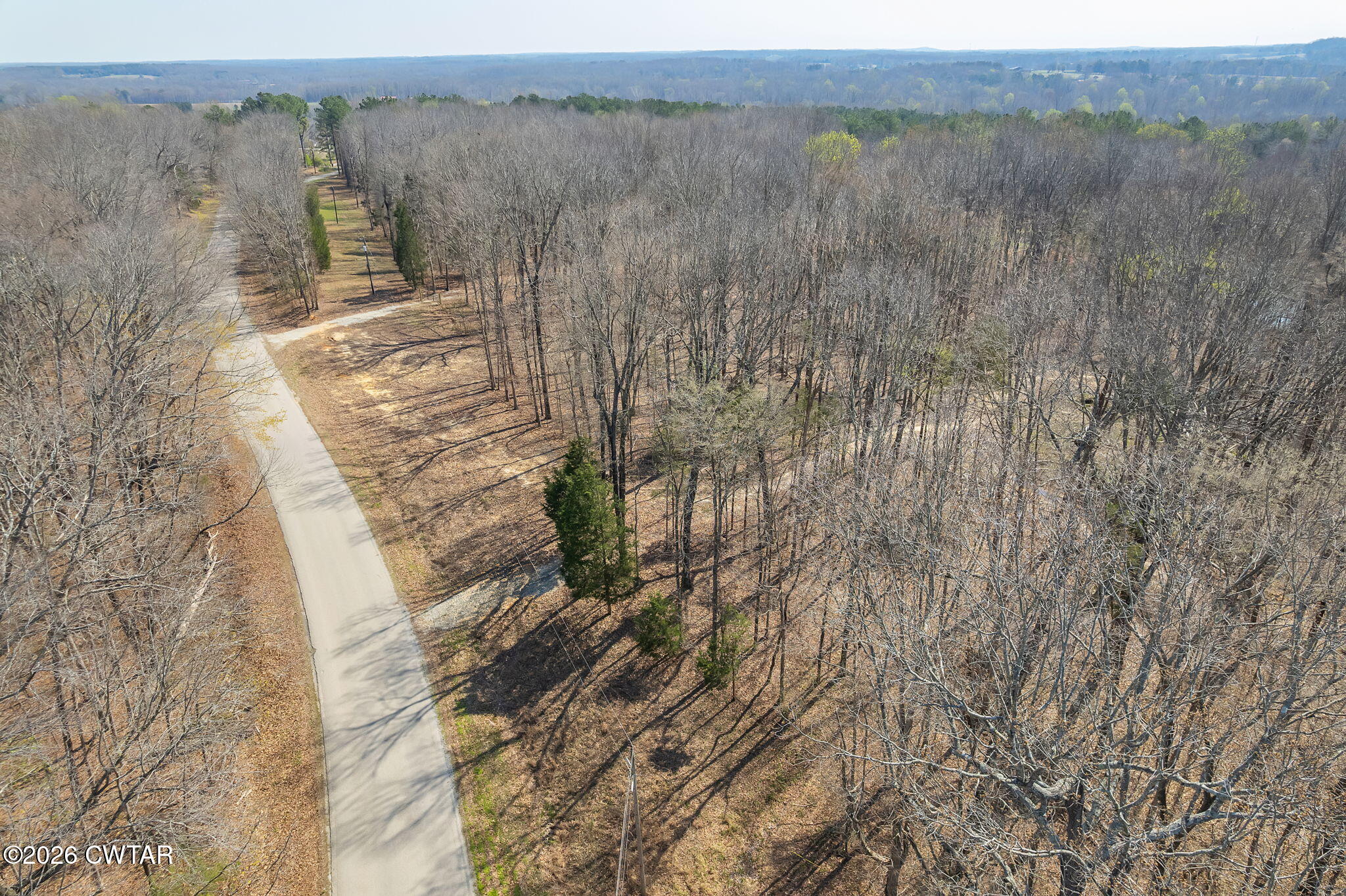 320 Peddy Vestal Loop Henderson, TN 38340 - Photo 8 of 26 a view of a yard