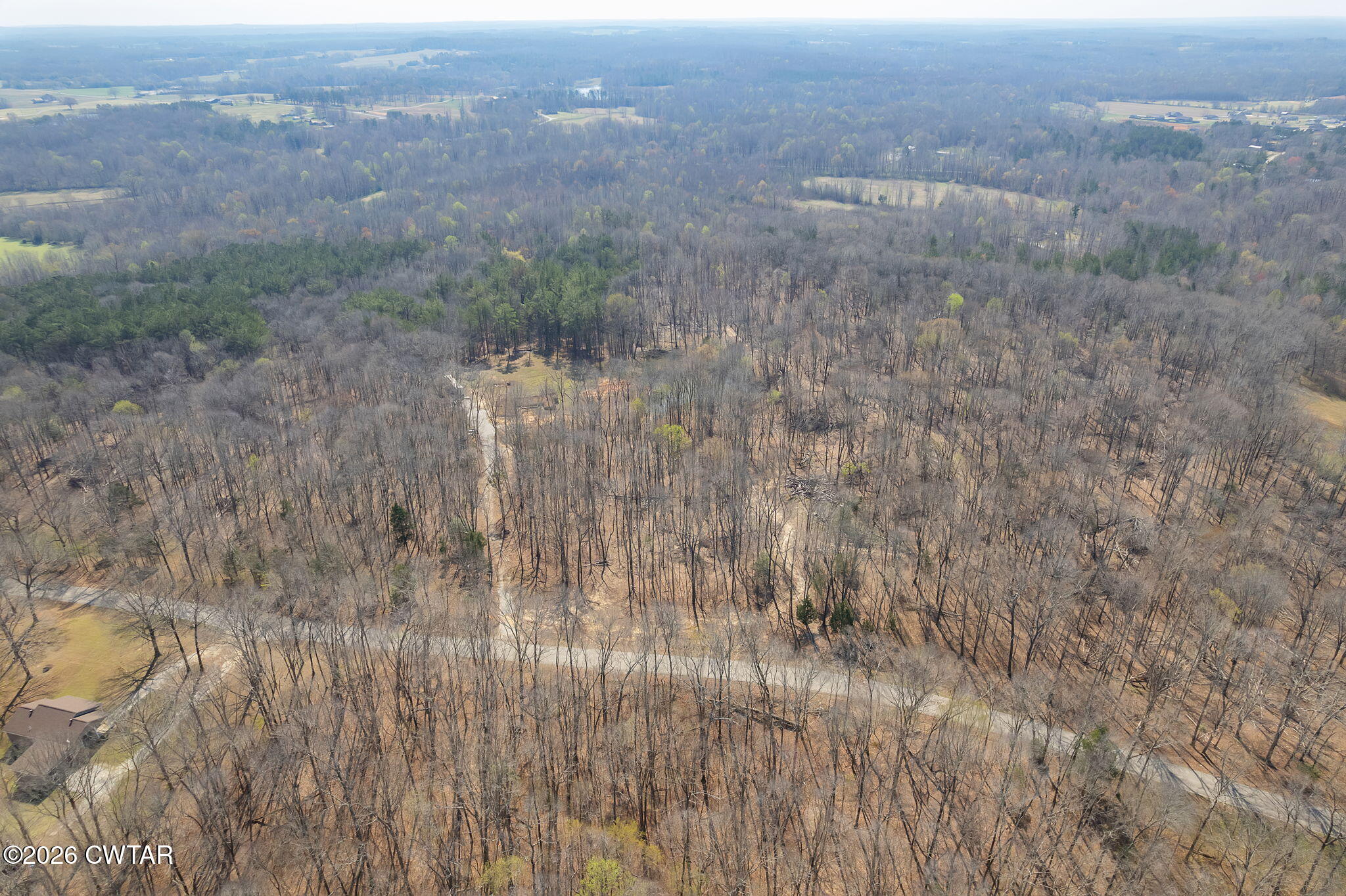 320 Peddy Vestal Loop Henderson, TN 38340 - Photo 10 of 26 a view of a yard