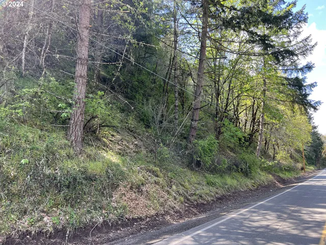 $39,900 | 300 Clarks Branch Road, Myrtle Creek, OR 97457