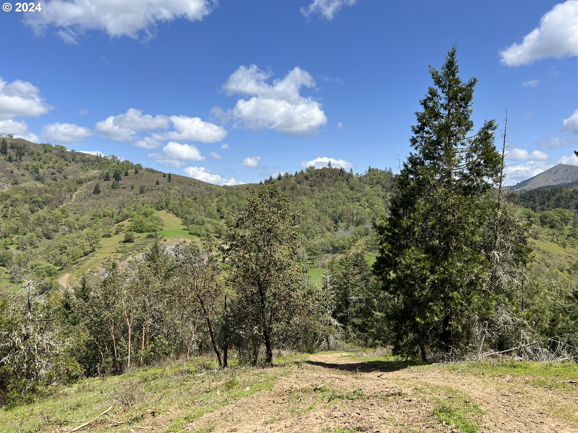 300 Clarks Branch Road Myrtle Creek, OR 97457 - Photo 15 of 23