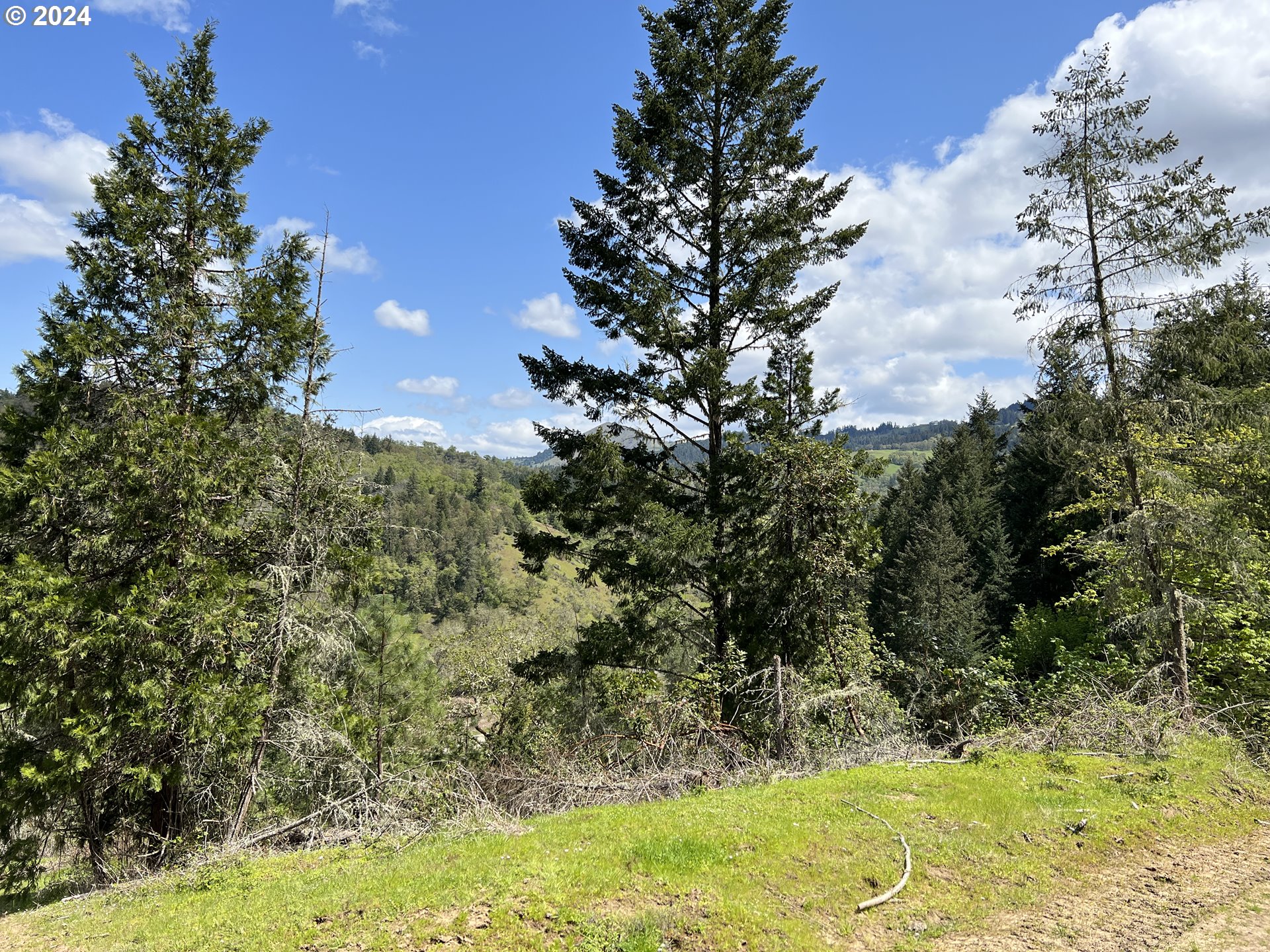 300 Clarks Branch Road Myrtle Creek, OR 97457 - Photo 16 of 23 a view of a yard