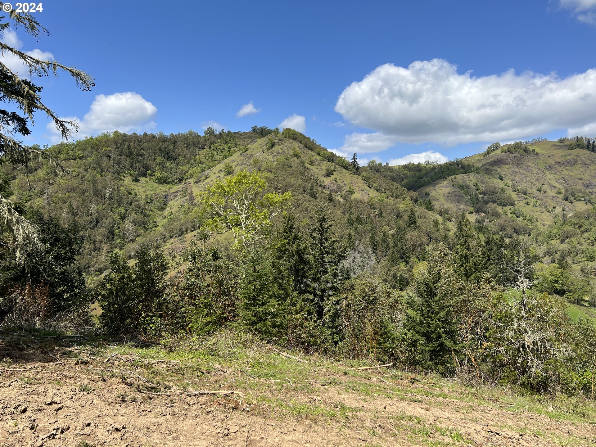 300 Clarks Branch Road Myrtle Creek, OR 97457 - Photo 18 of 23 a view of a sky
