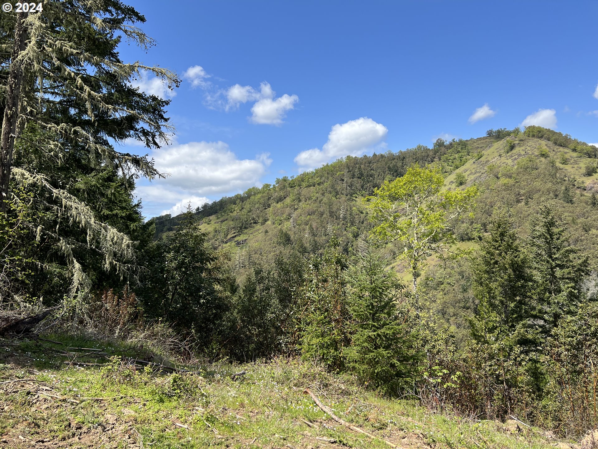 300 Clarks Branch Road Myrtle Creek, OR 97457 - Photo 19 of 23 a view of a yard
