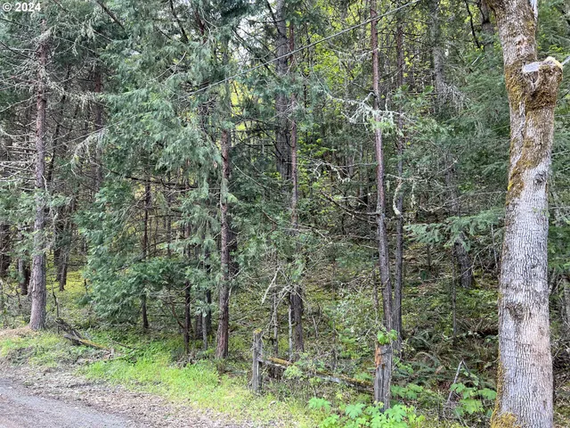 a aerial view of a house with a yard