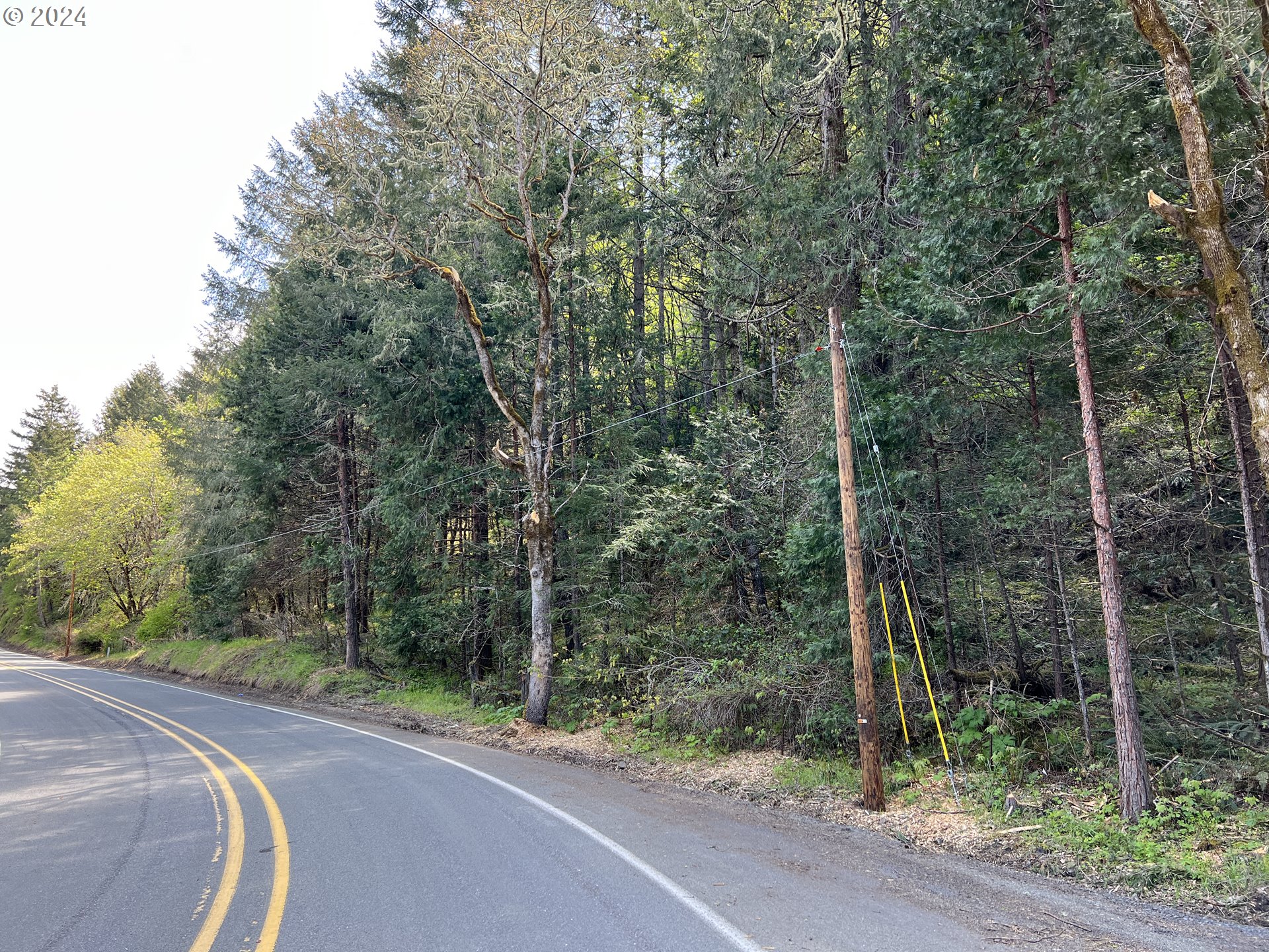 300 Clarks Branch Road Myrtle Creek, OR 97457 - Photo 4 of 23 a view of a road with a forest of trees