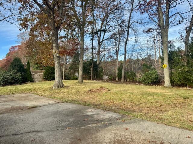 22 Cranberry Lane Centerville, MA 02632 - Photo 10 of 10 a view of a yard with a tree