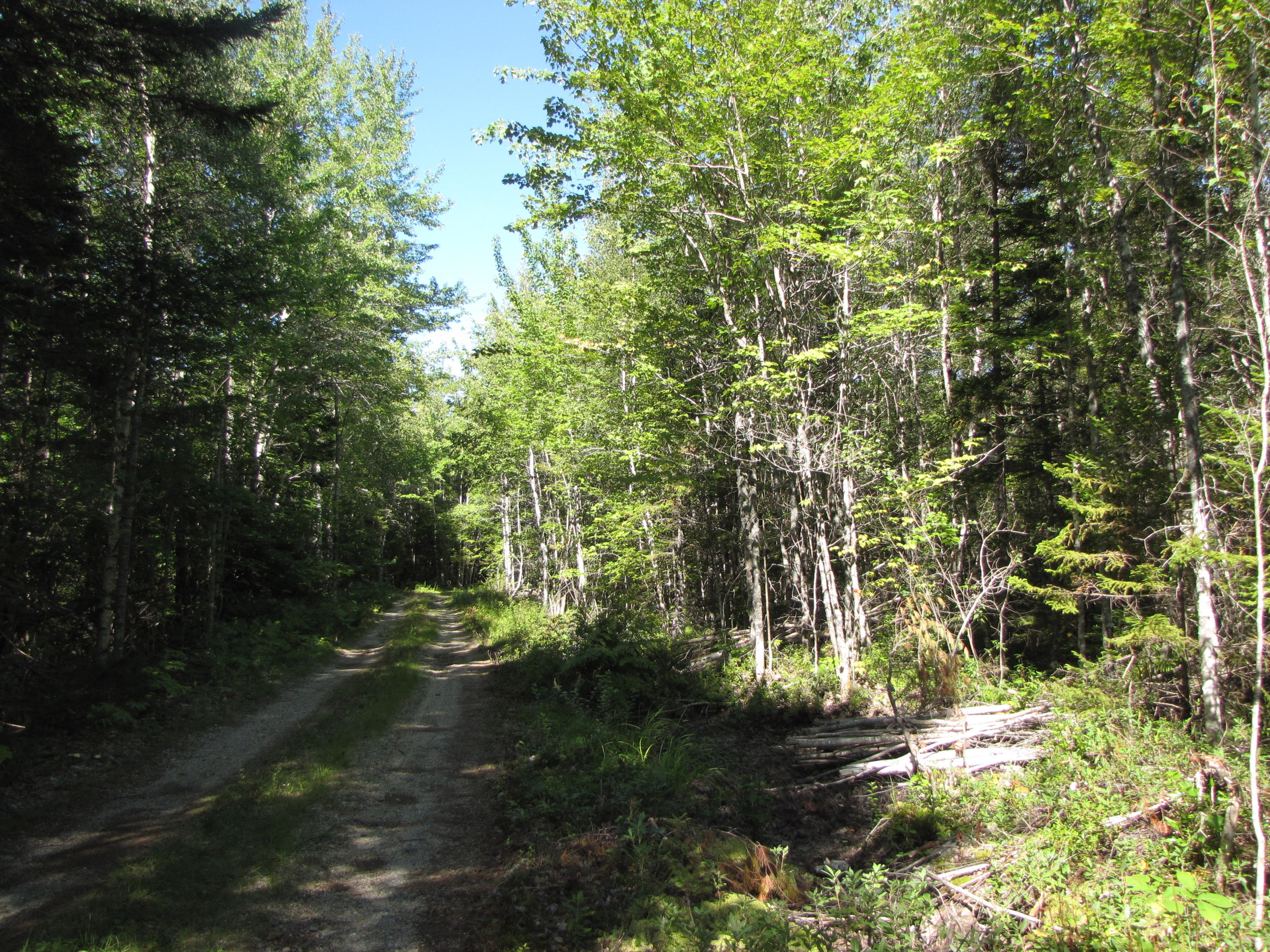 03 Plan Cherryfield, ME 04622 - Photo 2 of 36 IMG_0428