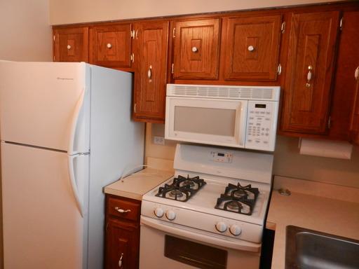 484 Timber Ridge Drive, Unit 207 Carol Stream, IL 60188 - Photo 4 of 16