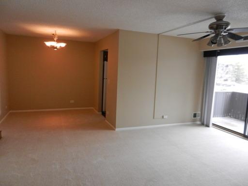 484 Timber Ridge Drive, Unit 207 Carol Stream, IL 60188 - Photo 8 of 16