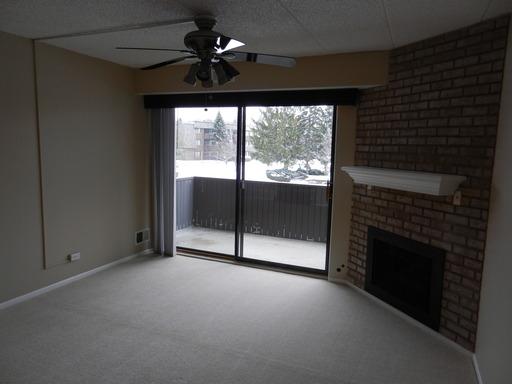 484 Timber Ridge Drive, Unit 207 Carol Stream, IL 60188 - Photo 9 of 16